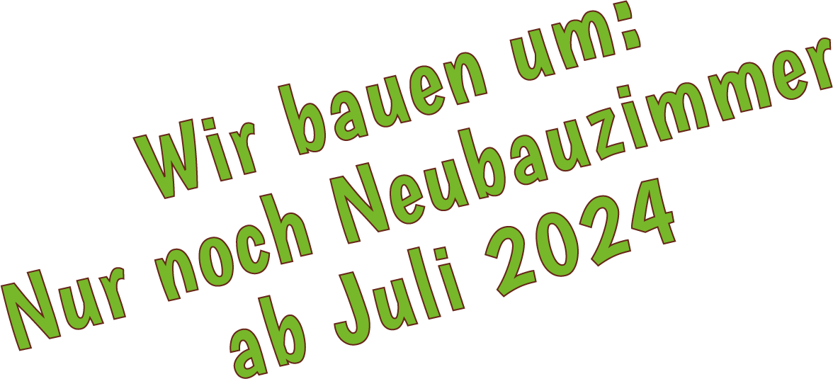 https://www.hochzeigerhaus.at/sites/default/files/revslider/image/Hochzeigerhaus_NEU_Neubauzimmer_2024.png